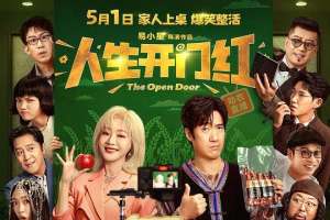 人生开门红(2025)