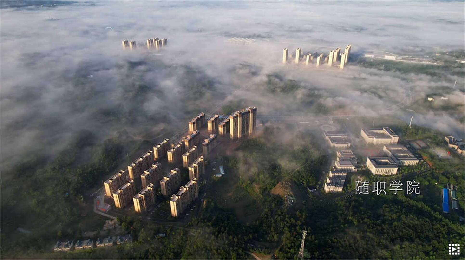 随职学院.jpg